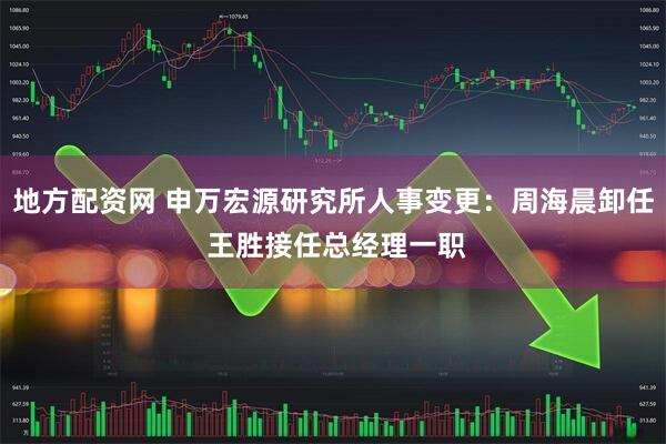 地方配资网 申万宏源研究所人事变更：周海晨卸任 王胜接任总经理一职